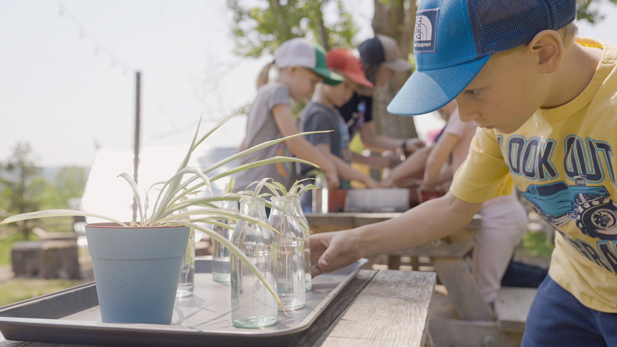 Students working along an outdoor table with plants and water bottles — field science activity